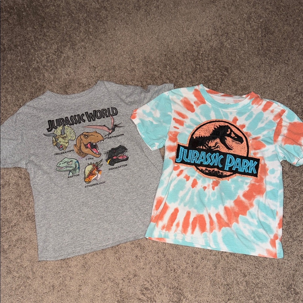 Jurassic World and Park Kids' T-Shirts - Gray and Tie-Dye